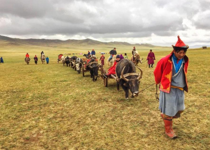 蒙古国80%蔬果由中国进口，为何自身不种植？当地人：有几点原因