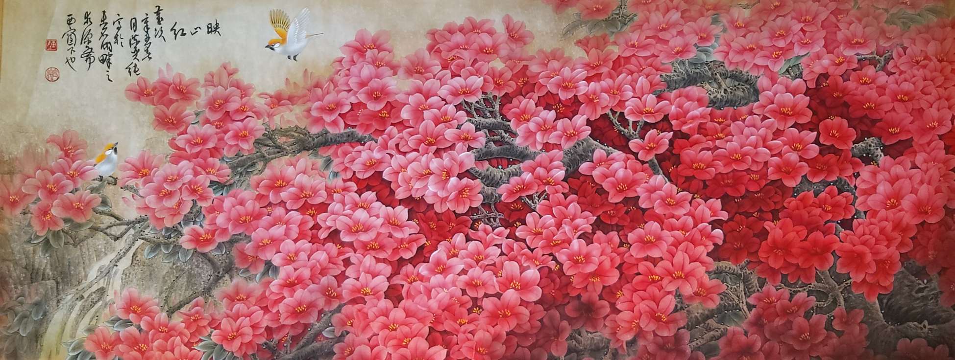 永远的映山红少儿舞蹈完整版,永远的映山红原唱