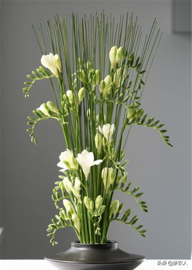 唯一能让处女男动心的星座,怎么让处女男星座上头