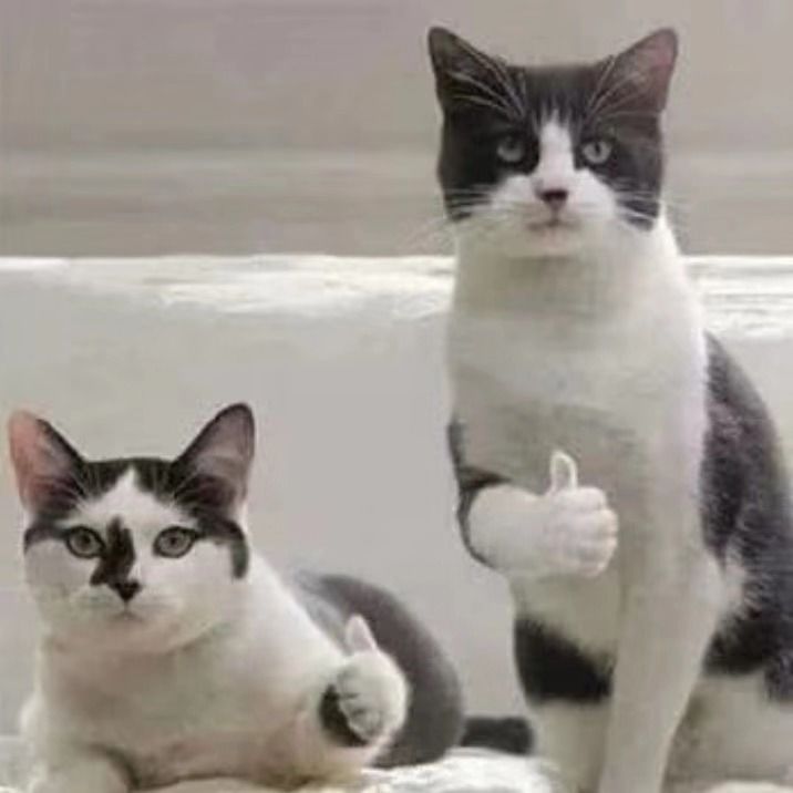 雅萌美容仪m10tplus冰敷,雅萌美容仪m20和m10效果一样吗