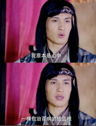 花枝鼠总打喷嚏,作为新手铲屎官,该如何从容应对?