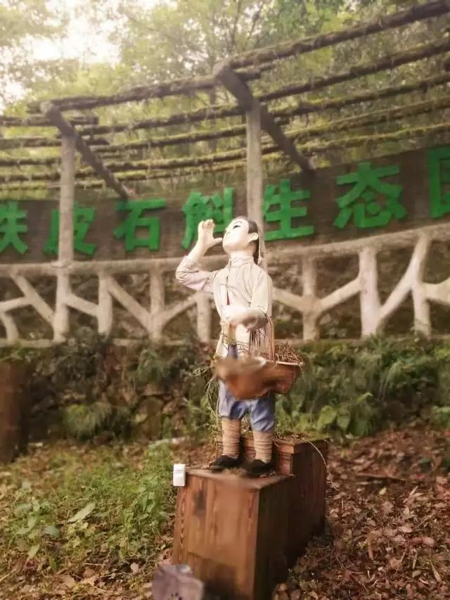 温州好玩的地方推荐吹台山公园,温州吹台山森林民宿门票