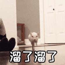 娆ф床鑱旇禌浠庢湭闄嶇骇,娆ф床鑱旇禌浠庢湭闄嶇骇鐞冮槦