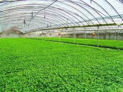 国家农业综合开发项目,农业综合开发产业