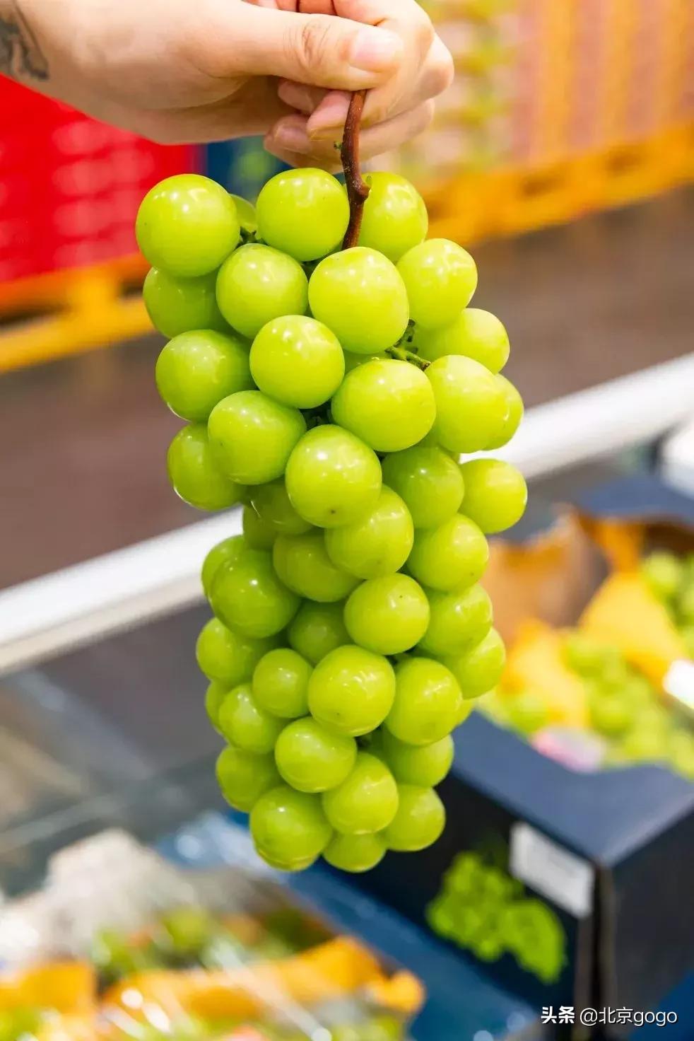 赞不绝口的高品质！这座硬核建筑物集好吃+好玩+好逛于一身