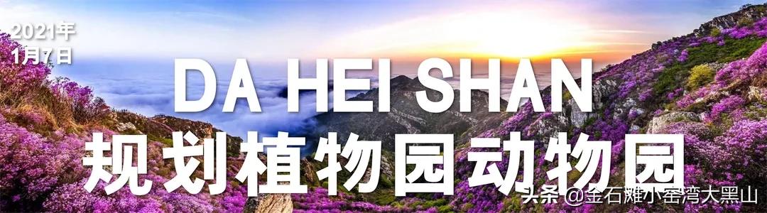 大连金石滩旅游资源评价,大连金石滩农业生态旅游区
