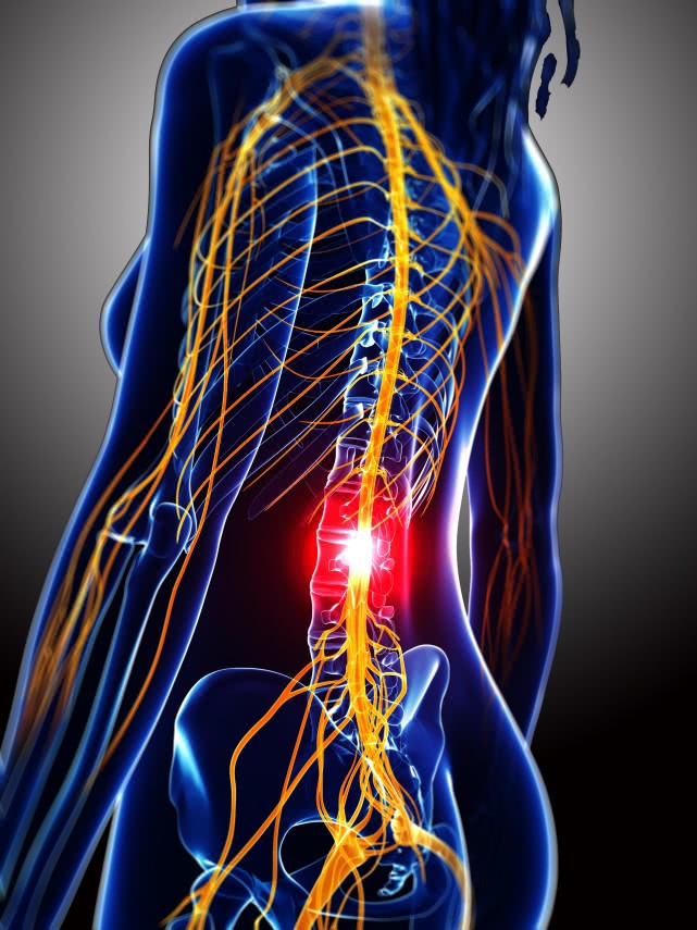 人体八大系统与用药关系,最常见的神经系统疾病