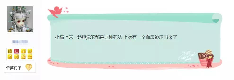 小猫和人一起睡觉有哪些危害,猫跟人一起睡会被压死吗