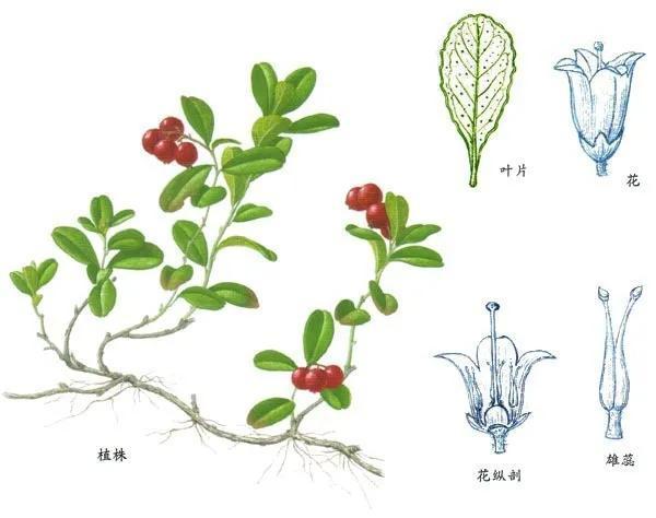 教你正确的去选择护肤品,护肤品要怎么选择才比较正确