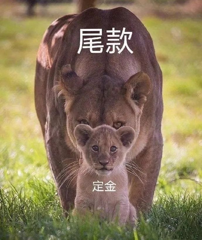 5位尾款人讲述：买了3万多的东西，准备退掉一大半