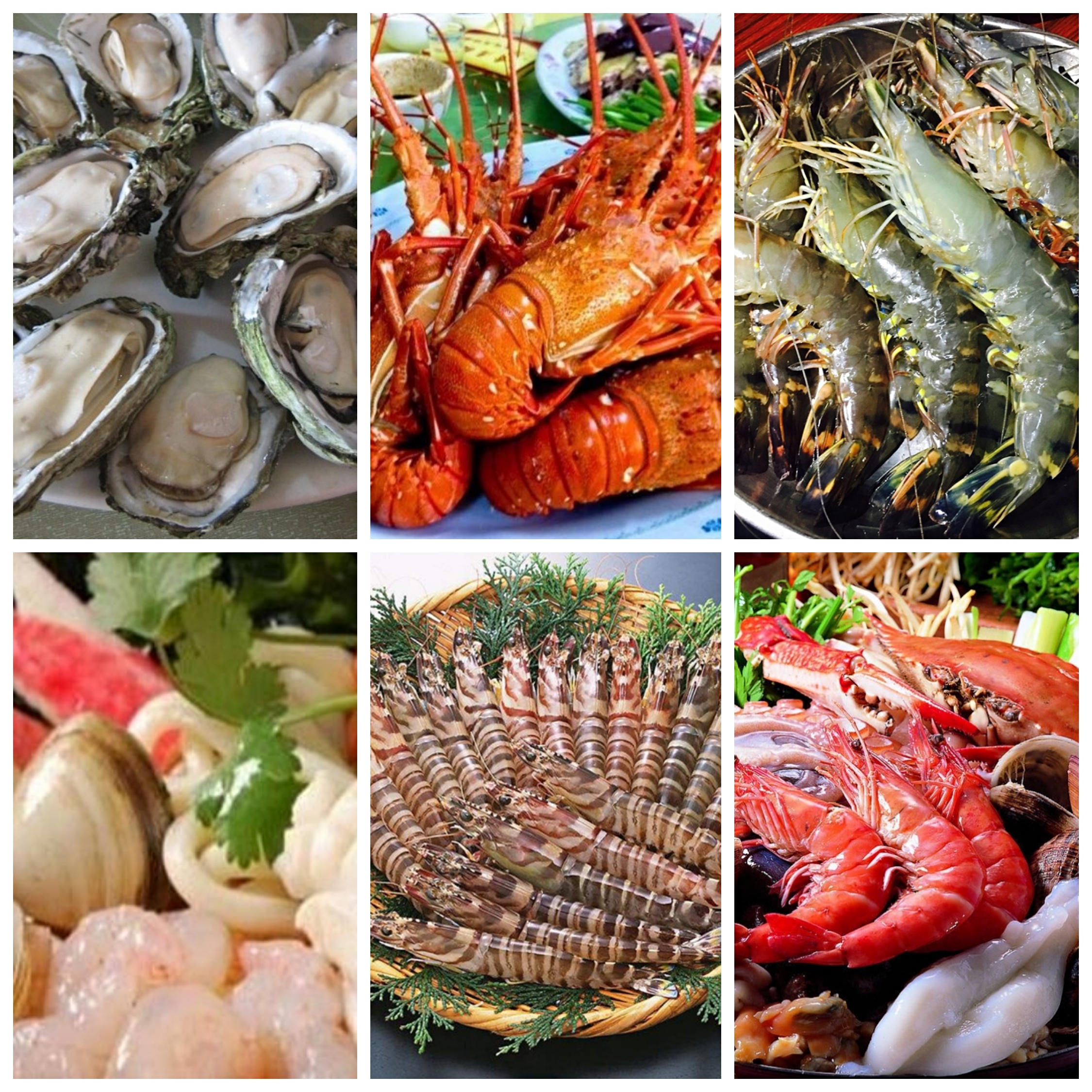 湛江海边中国大陆最南端,湛江最大的海鲜聚集地