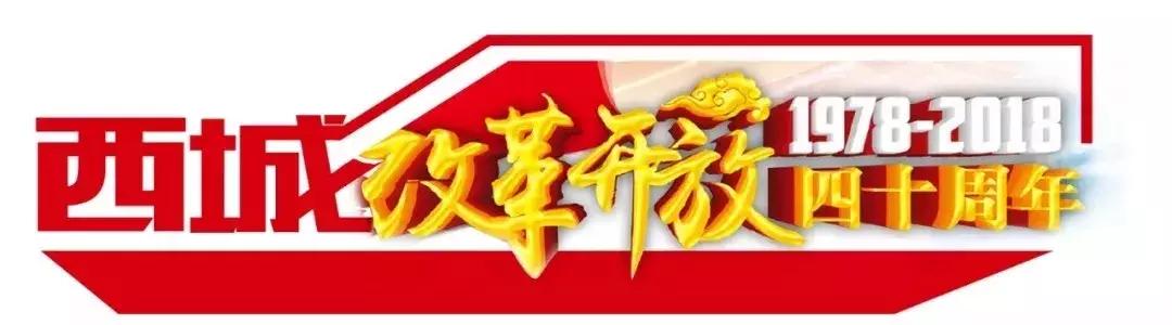 加强精细化管理提升城市治理,以绣花功夫擦亮文明城市金字招牌