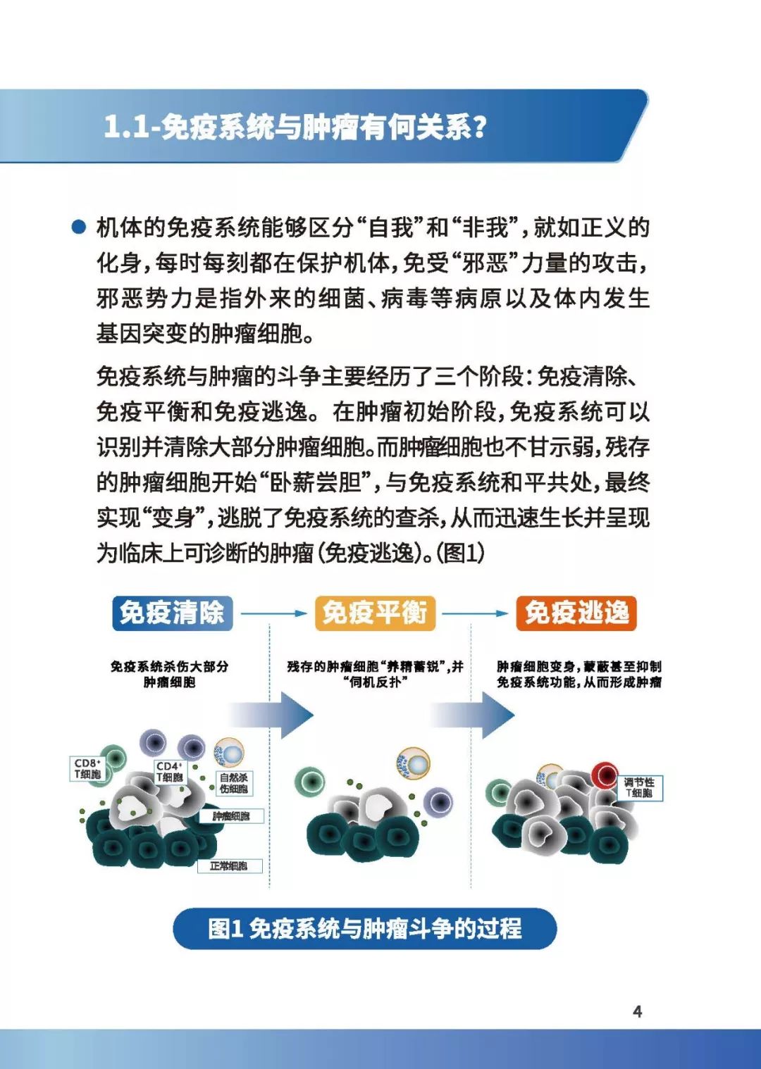 科普肿瘤免疫治疗那些事,免疫治疗健康宣教