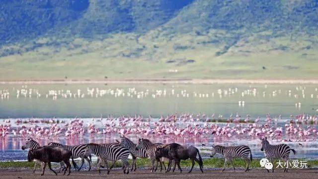 全世界最贵的酒店排行,全世界最贵的酒店多少钱一晚