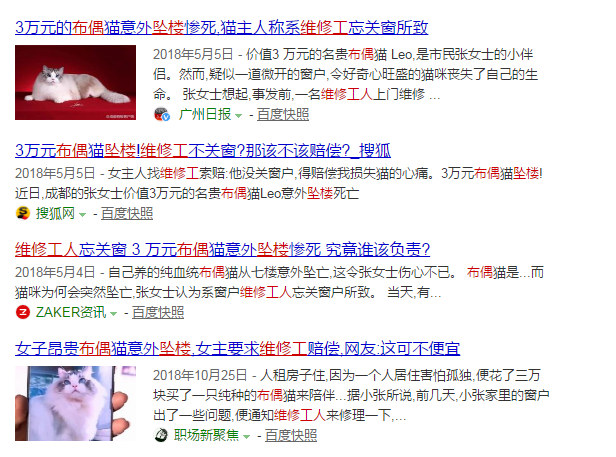 我的猫掉下楼死了怎么办,我的猫跳楼死了