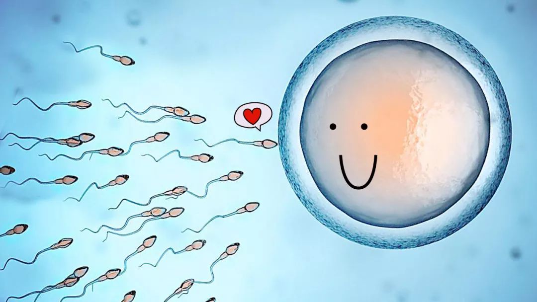 多次生化妊娠可以打绒促保胎吗,有生化妊娠的迹象可以保胎吗