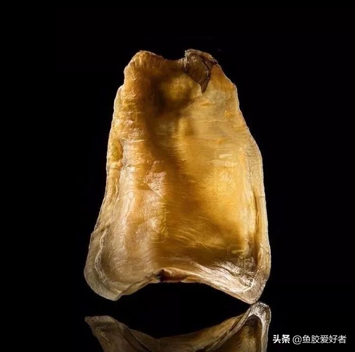 鱼胶花胶怎么挑选,花胶的选购方法教你选择优质花胶