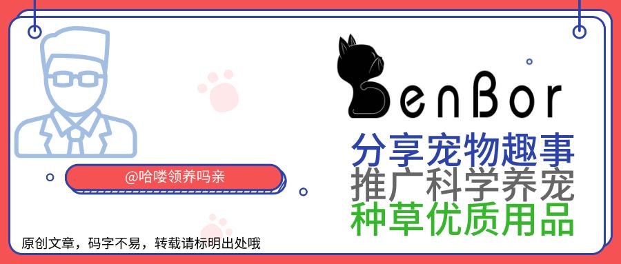 还在给狗子喂食鸡肝吗？铲屎官请收下这份动物肝脏食用手册