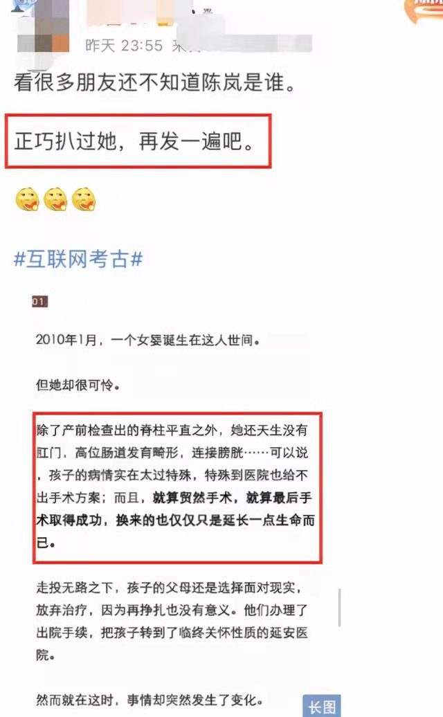 陈岚力挺霍金,陈岚为什么这么帮郭碧婷