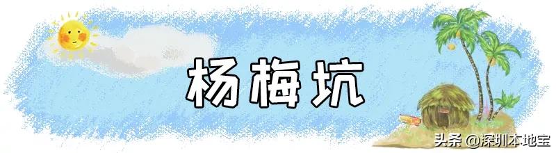 深圳免费的景点有哪些地方,深圳有哪些免费又好玩的地方景点