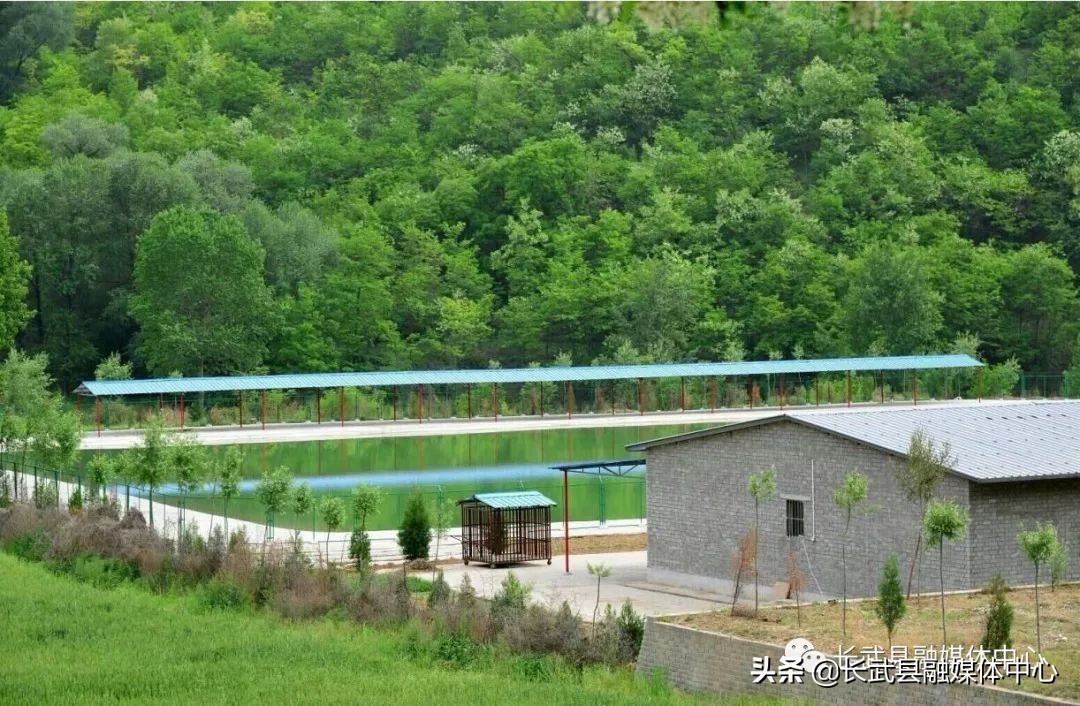 大美长武全部视频,把大好河山收藏