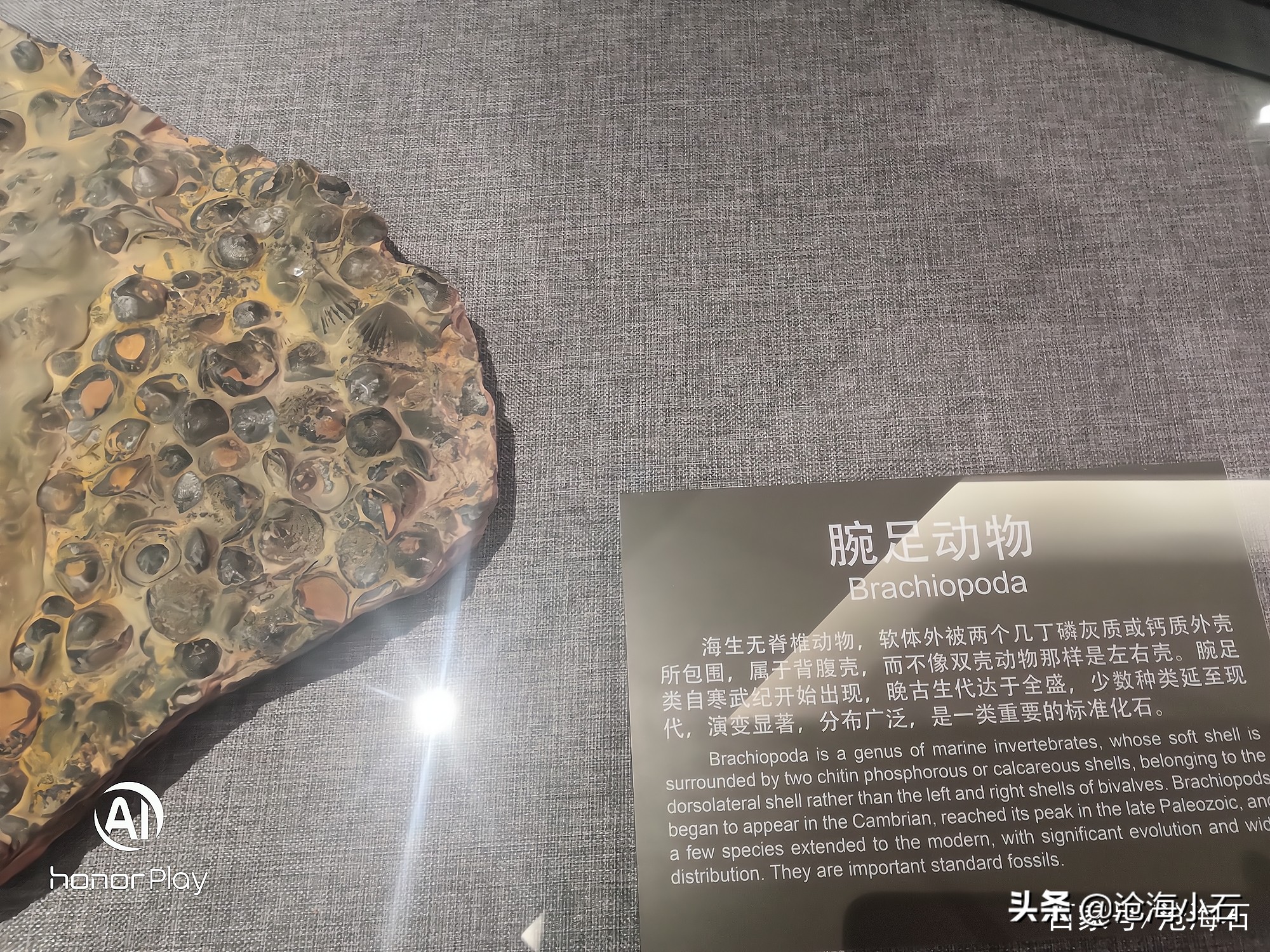 哪些石头不能随便带走,哪些石头不能捡回家