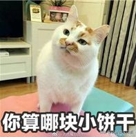 “bitch”居然有夸人的意思?简直不敢相信