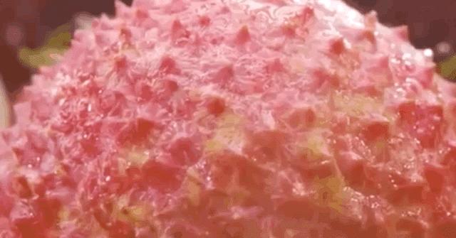 中国哪里的荔枝最甜,全国荔枝最好吃的地方