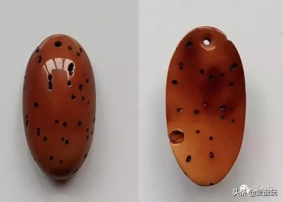 这张菩提子家谱，囊括30种，很少能有人认全