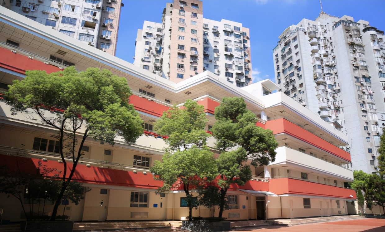 上海这12所民办小学竟能对口公办初中入学