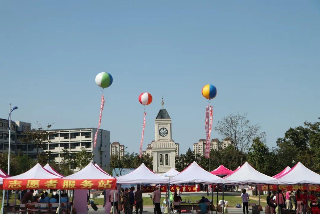 澶у杩庢柊,澶у杩庢柊鍥剧墖