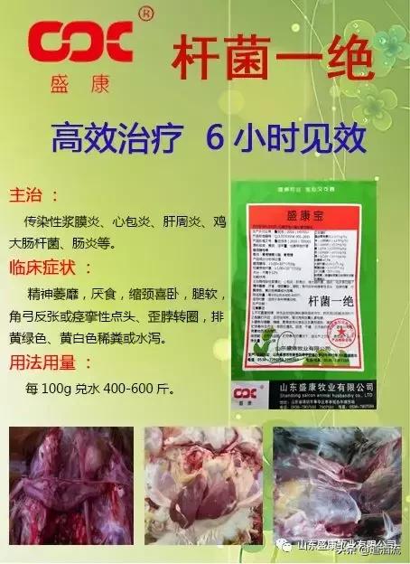 鸭眼睛红流泪怎么回事,鸭眼睛肿胀流眼泪