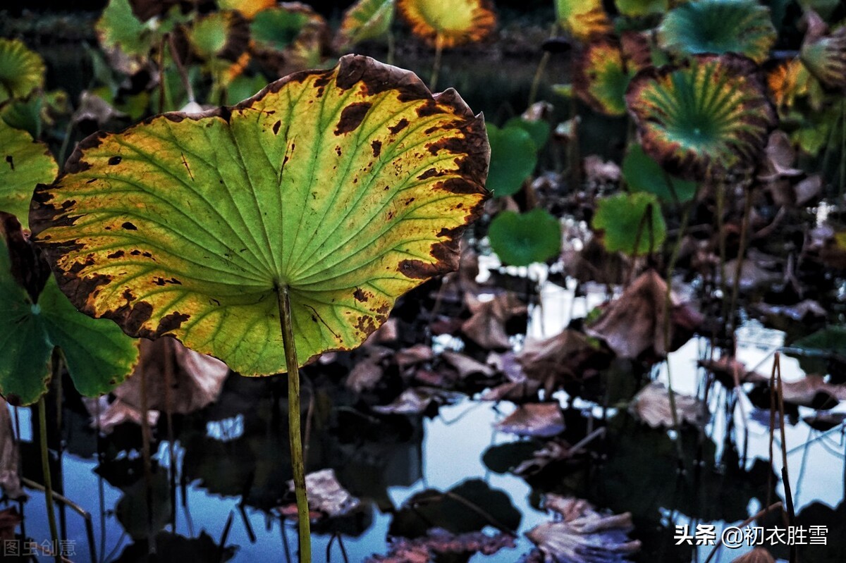 李商隐10首经典诗词鉴赏,李商隐最美的十首诗解读