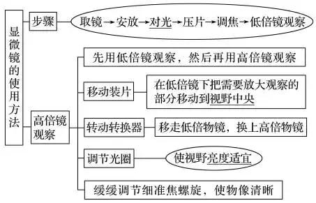 高中生物实验方法归纳图怎么画的,高中生物实验专题归纳