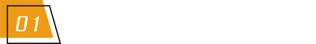 如何自己在家生豆芽,1、2、3、4、5,5步上手