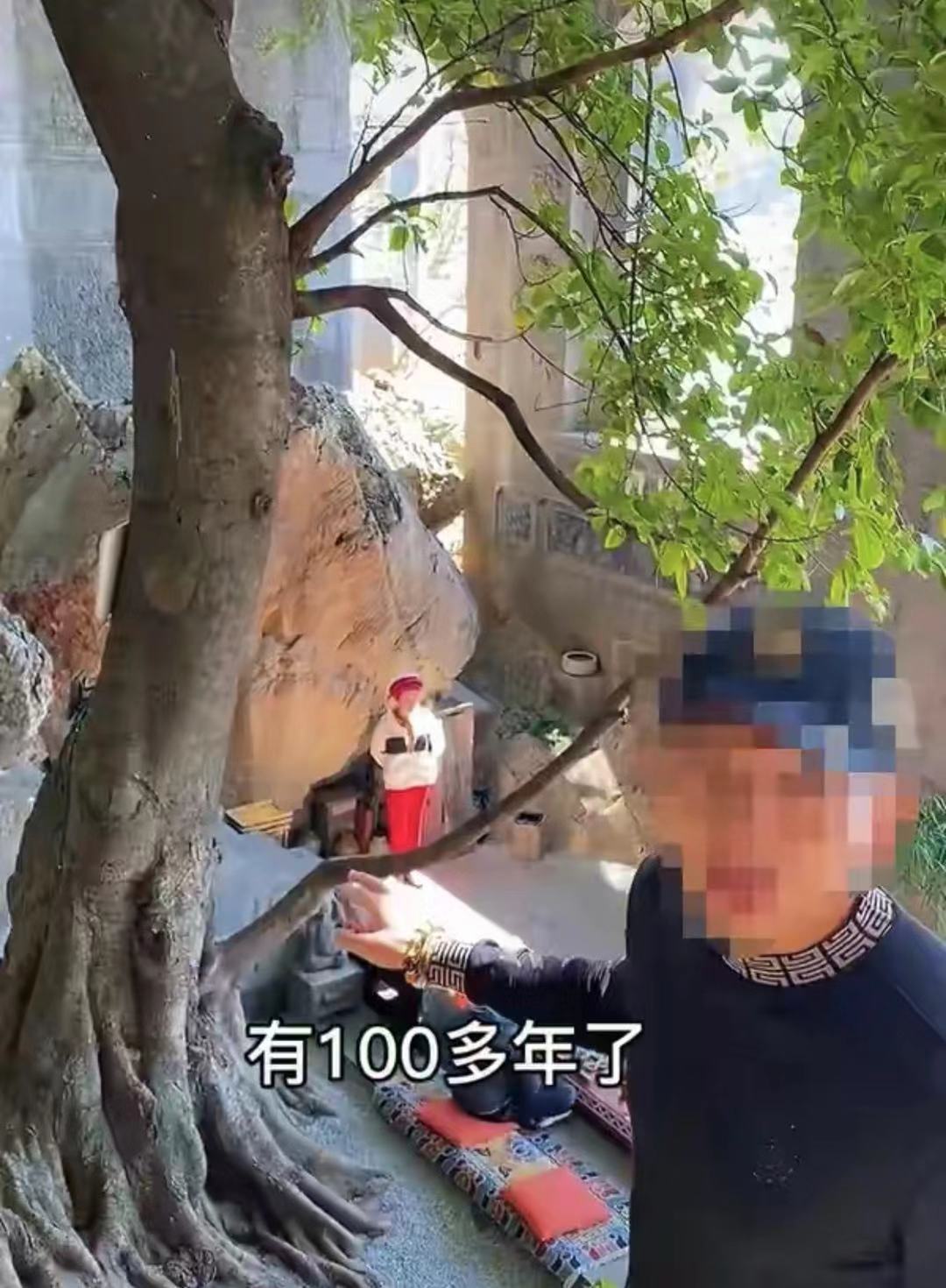 杨丽萍豪宅入住价格,杨丽萍的欧式豪宅