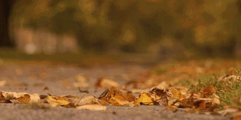 丽皙白护肤旗舰店,丽皙白护肤品