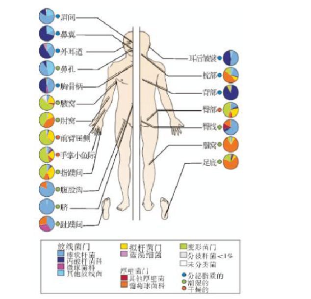 兰蔻小黑瓶到底好不好,兰蔻小黑瓶解析