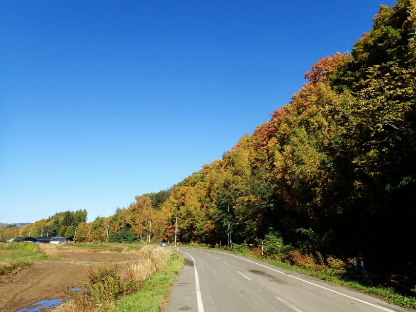 北海道登别到美瑛町需多久,日本北海道美瑛川的雪景