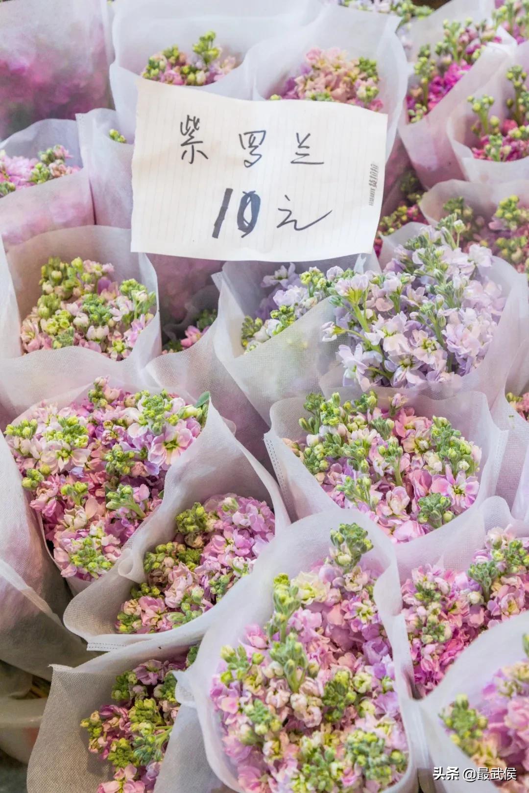 超便宜！成都铁轨下的花市5元买回一个春天！