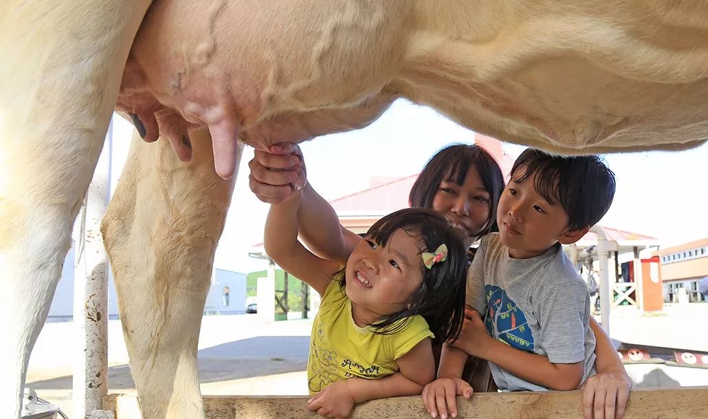 日本生态农业庄园,日本田园农场排行榜