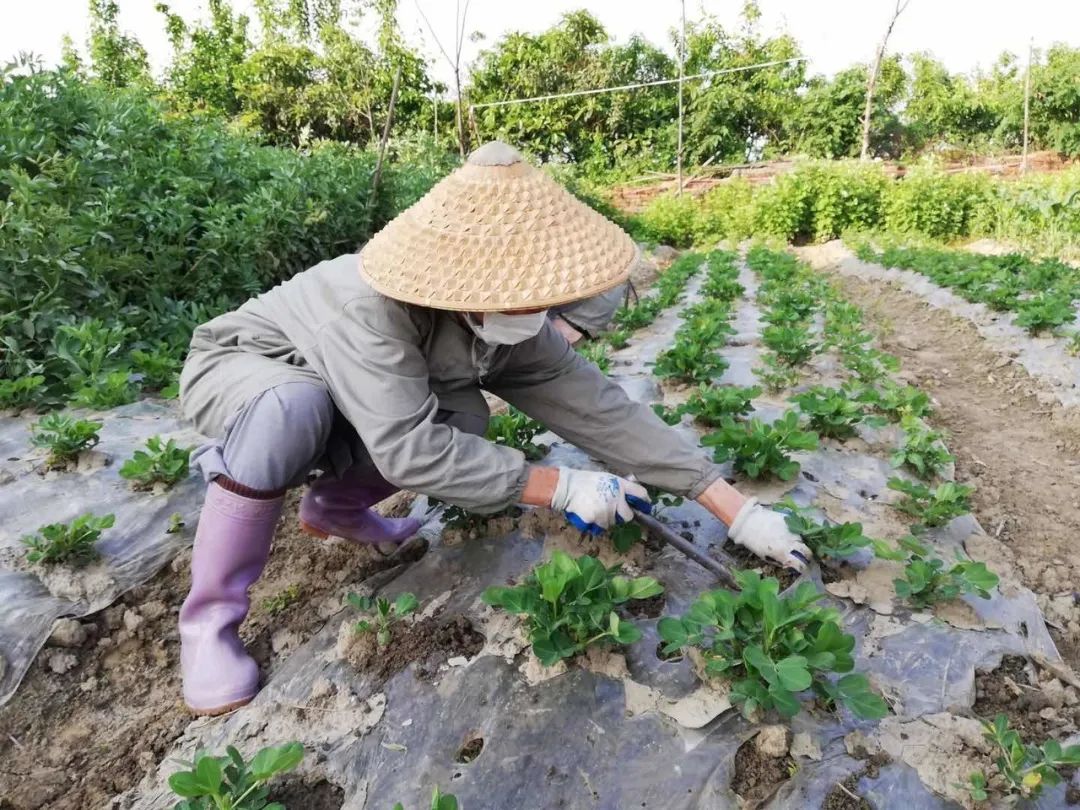 抢抓农时开展农业生产,农民纷纷抢抓春耕生产有利时机