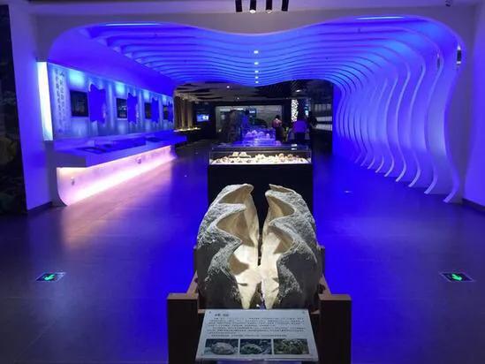 深圳暑假推荐地方,深圳适合高中生参观的地方