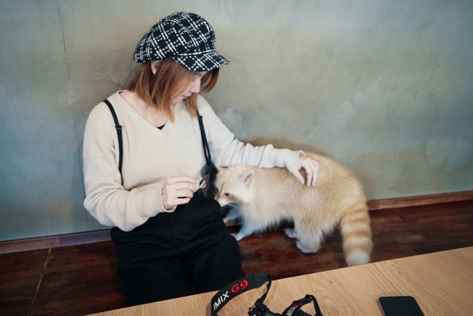 新手怎么逛免税店攻略,50家免税店最划算攻略在此