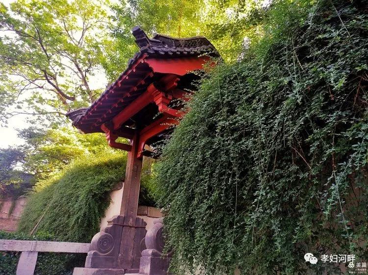 博山初夏风景图片,在博山公园藏着独特的宁静