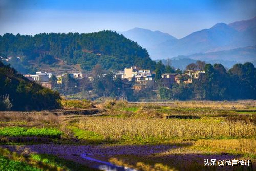 草包是骂人吗,草包是不是骂人