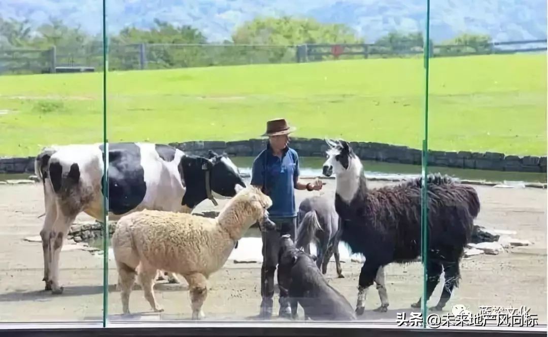 母亲牧场要玩多久,低成本花园家庭农场亲子乐园