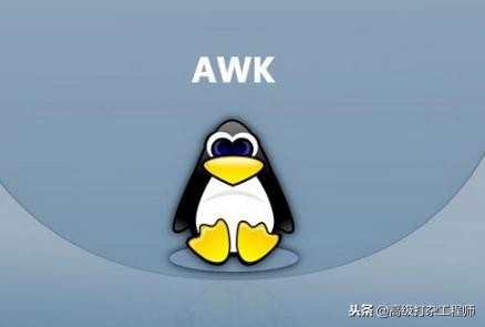 awk排序实例,awk运算符图解