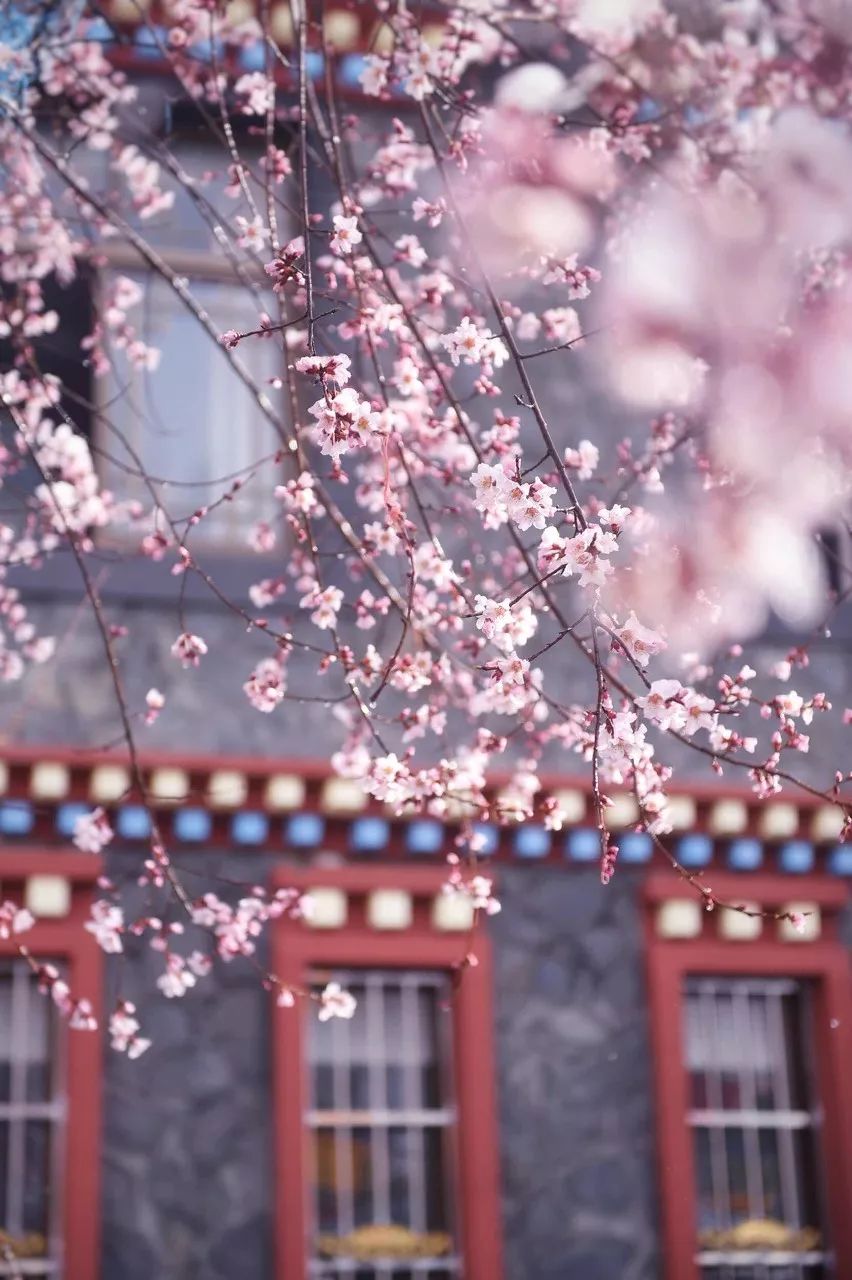 世界上最幸福的事400字,世界上最幸福的事情你做过几件