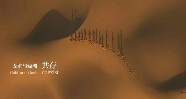 天山脚下纪录片,天山脚下纪录片完整版